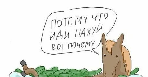 Ответ на пост «Ответ на ответы на посты»