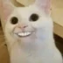 nyssais
