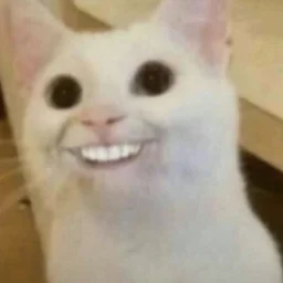 nyssais
