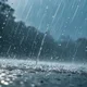 ������ ������������ OlyaTau