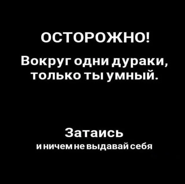 7yvh2vyg.webp