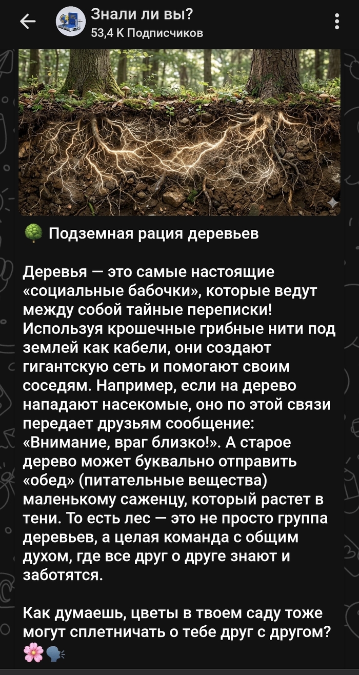 � ��� ���, ���� ���� ����?