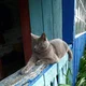 ������ ������������ user11783200