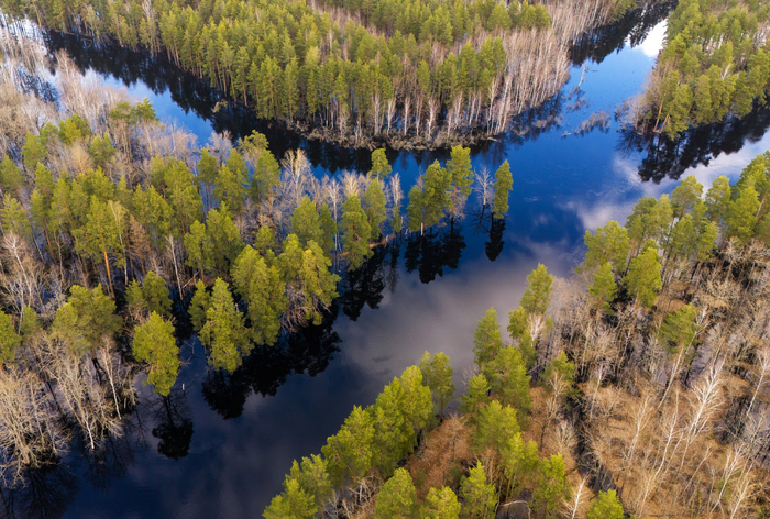 ����: ������ ������<a href="https://pikabu.ru/story/vesenniy_razliv_13932576?u=https%3A%2F%2Frtraveler.ru%2Fphoto%2F1482709%2F%3Fnew_photos%3D1&t=%D0%BE%D1%82%D1%81%D1%8E%D0%B4%D0%B0&h=eac10fc465982137d15a61f32d0894cf2230e300" title="https://rtraveler.ru/photo/1482709/?new_photos=1" target="_blank" rel="nofollow noopener"> ������</a>
