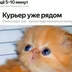 Negative255
