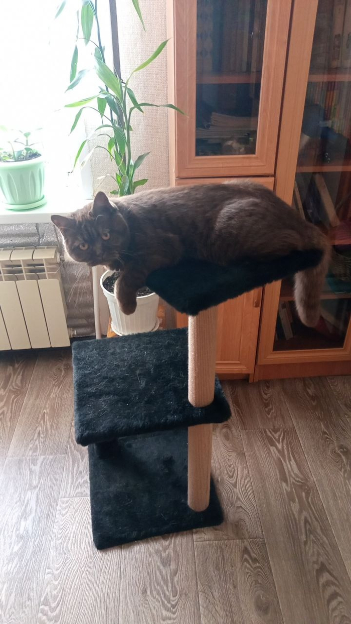 ���� ����� - �������!