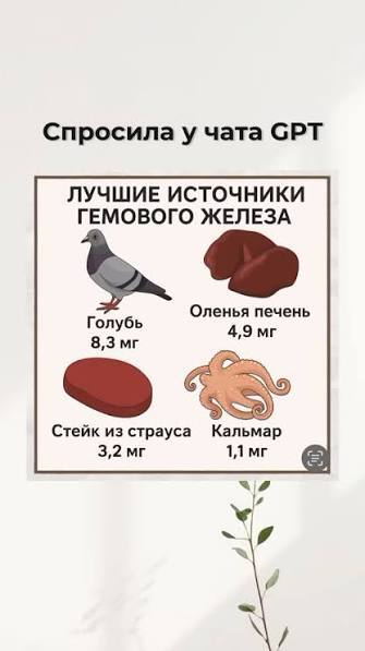 ��������� �����