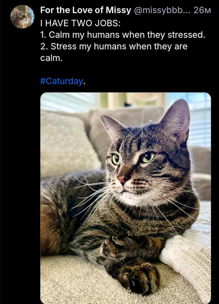 Котоббота