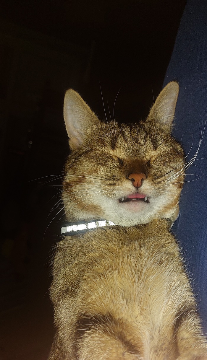 ������ � ����