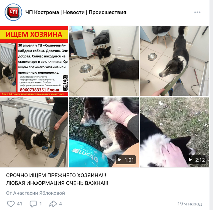 ��������: <!--noindex--><a href="https://pikabu.ru/story/rebyonok_zakryivaet_soboy_agressiyu_beznadzornoy_sobaki_13938094?u=https%3A%2F%2Fvk.com%2Fchp44%3Fw%3Dwall-157232463_1297044&t=https%3A%2F%2Fvk.com%2Fchp44%3Fw%3Dwall-157232463_1297044&h=4a464b21fb5eb64f5695846a02d6a09be9a3c3b4" title="https://vk.com/chp44?w=wall-157232463_1297044" target="_blank" rel="nofollow noopener">https://vk.com/chp44?w=wall-157232463_1297044</a><!--/noindex-->