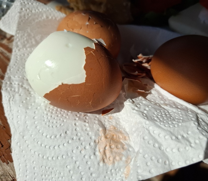 Теперь и яйца подделывают...