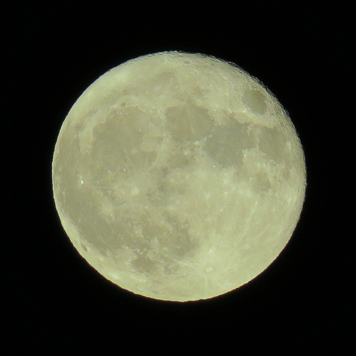 ����� �� Canon SX730 HS