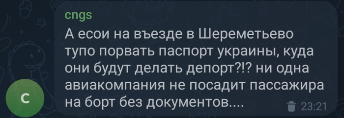 Умные мысли преследовали этого хитреца, но он всегда был быстрее