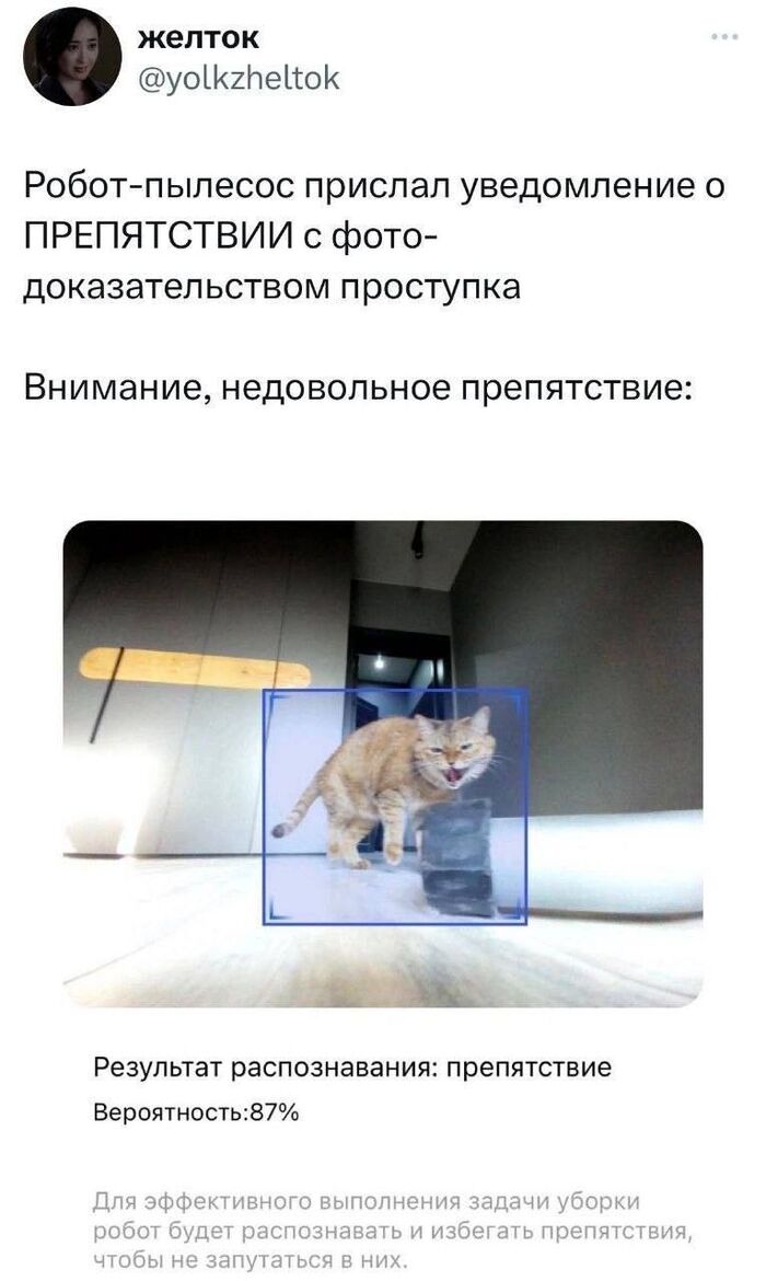 ����������� �����������