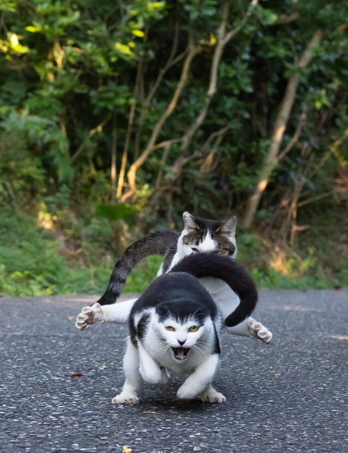 ����� ����: ������� ���