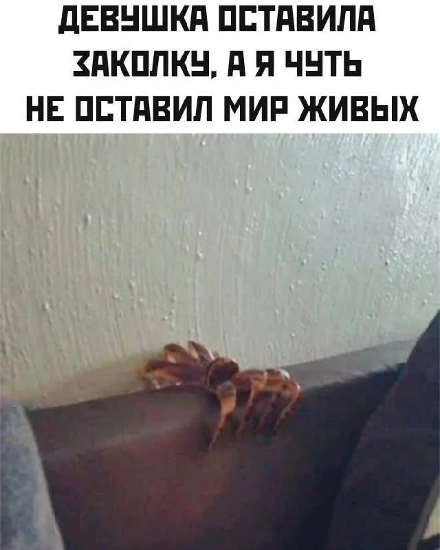 ��� �����