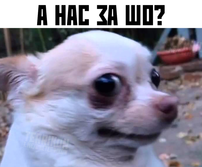 <a href="https://pikabu.ru/story/ukrainskie_dronyi_atakovali_latviyu_13951753?u=https%3A%2F%2Fwww.rbc.ru%2Fpolitics%2F07%2F05%2F2026%2F69fc3b319a7947c54f106842%3Futm_referrer%3Dhttps%253A%252F%252Fyandex.ru%252F&t=%D0%92%20%D0%9B%D0%B0%D1%82%D0%B2%D0%B8%D0%B8%20%D0%B4%D1%80%D0%BE%D0%BD%20%D1%83%D0%BF%D0%B0%D0%BB%20%D0%BD%D0%B0%20%D1%82%D0%B5%D1%80%D1%80%D0%B8%D1%82%D0%BE%D1%80%D0%B8%D0%B8%20%D0%BD%D0%B5%D1%84%D1%82%D0%B5%D0%B1%D0%B0%D0%B7%D1%8B%20%D0%B2%20%D0%A0%D0%B5%D0%B7%D0%B5%D0%BA%D0%BD%D0%B5.&h=e5fd1b93a7e7925a589b13841ab7f14f01155649" title="https://www.rbc.ru/politics/07/05/2026/69fc3b319a7947c54f106842?utm_referrer=https%3A%2F%2Fyandex.ru..." target="_blank" rel="nofollow noopener">� ������ ���� ���� �� ���������� ��������� � �������.</a>