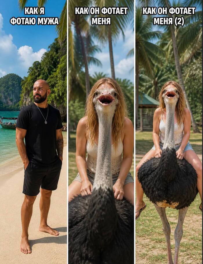 ��� ����