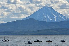 ����: ���� �������� / �����������