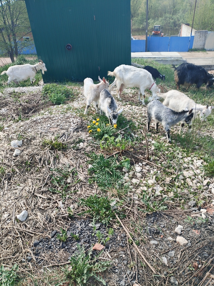 ������� �������� � ���������� ���� ������ ��������, � ������ ����������� �� ������� ������-��. ��������, ��������.