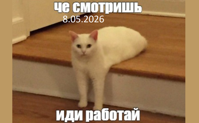 ������� ����(((