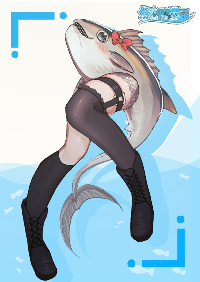 �����: wanko sora