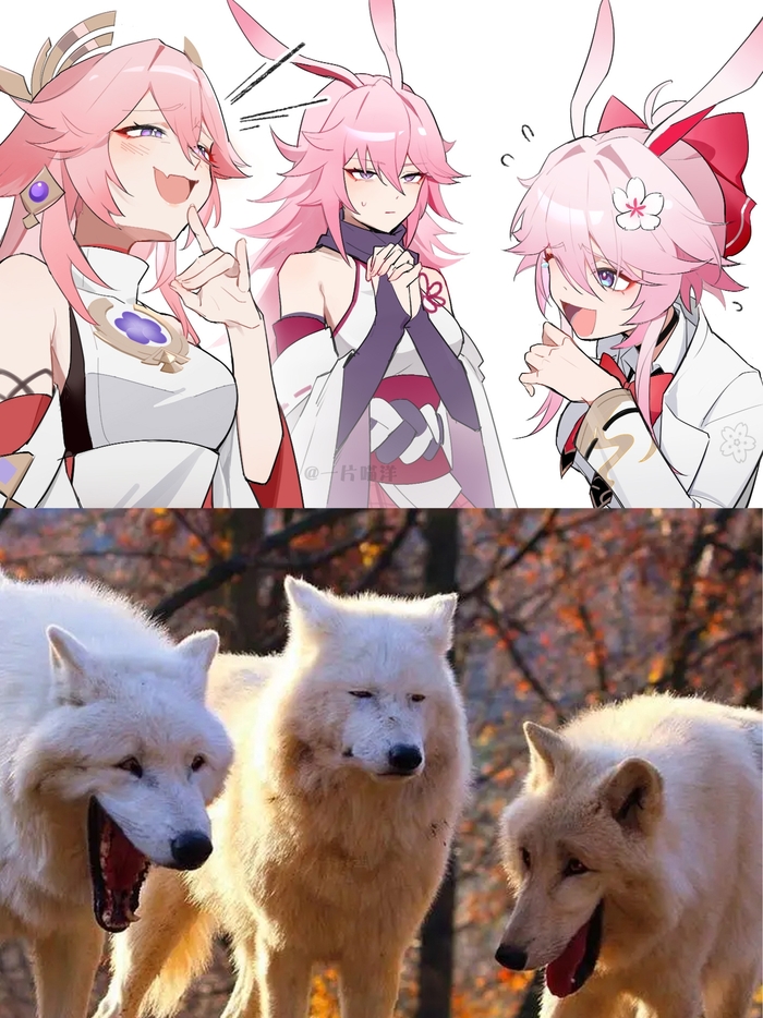 �������-���������