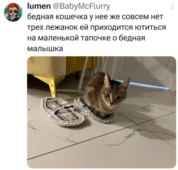 ��� �� ������������ �����