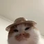 Pikabu profile picture for @oishi