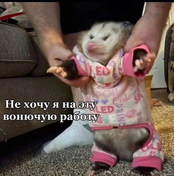 � ��������