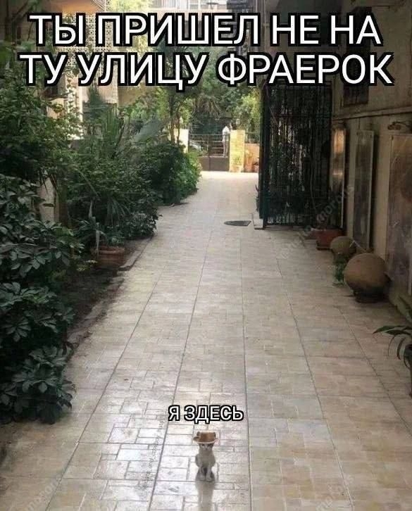 Мал золотник, да мал!