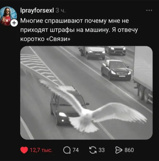 ����� ������ )
