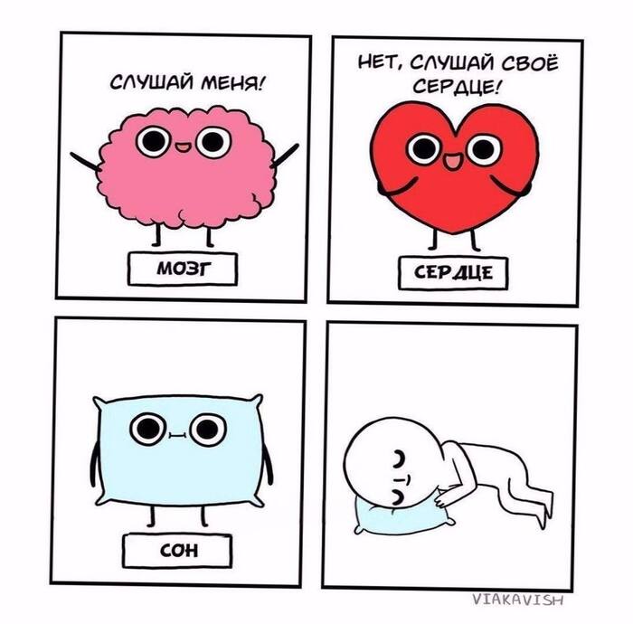 �� ����