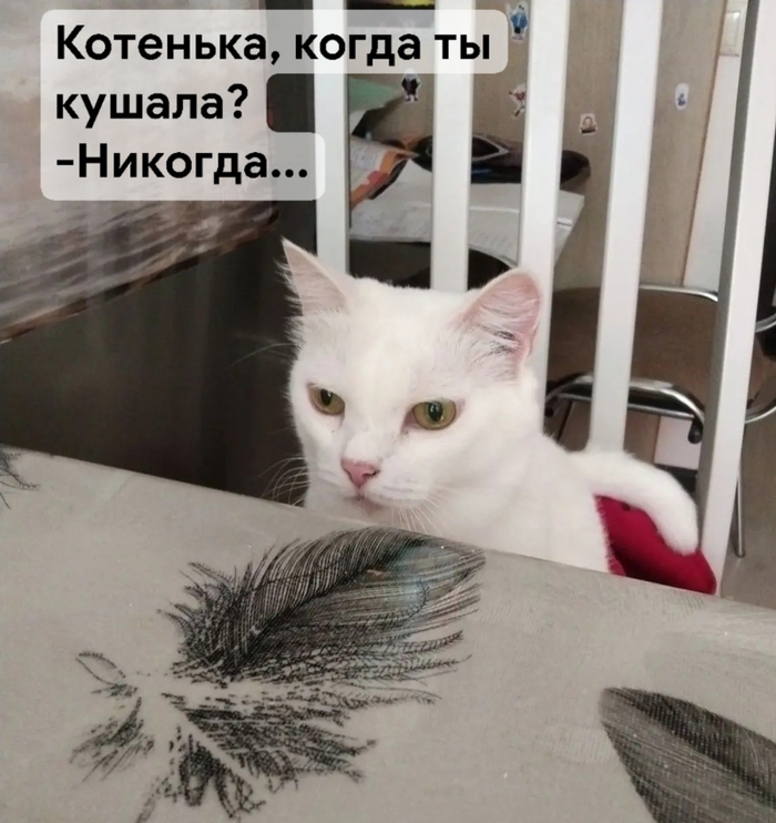 �������� ������� :(