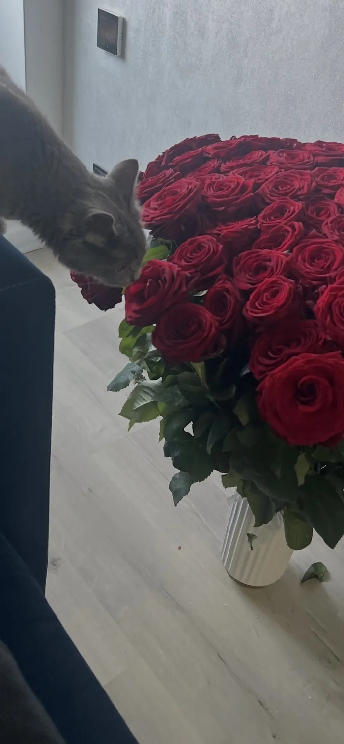 ������� ����: ������ ���� � ����� �����