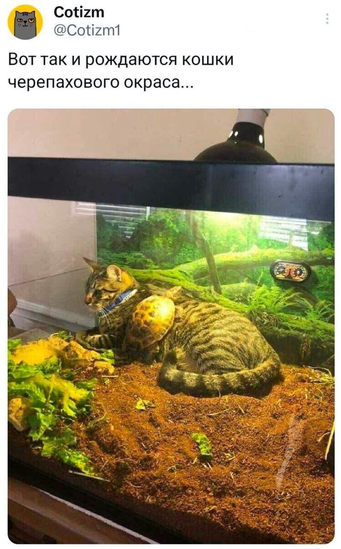��� ���� ����� ��������...