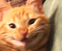 ����)