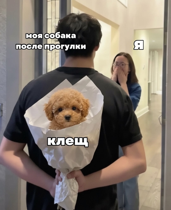 ��������� � �����������