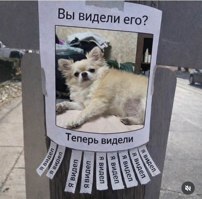 �����