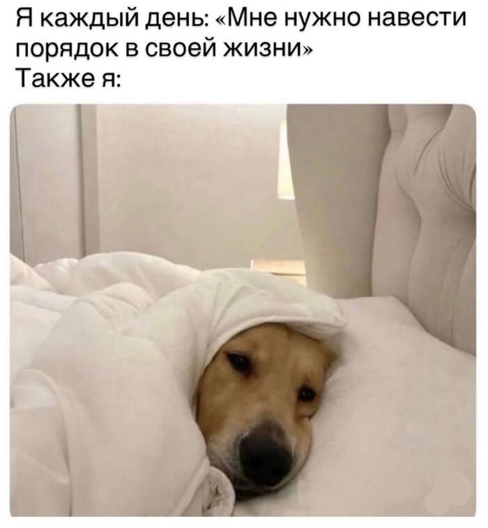 Порядок в жизни начинается с правильного распределения приоритетов