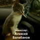������ ������������ CeksCKotom