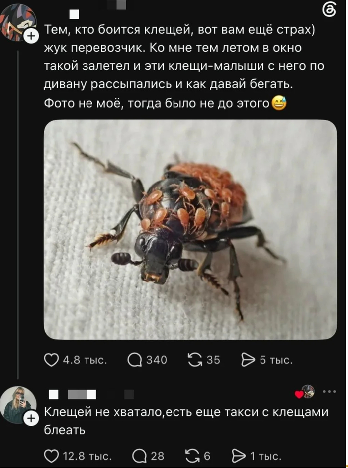 �����