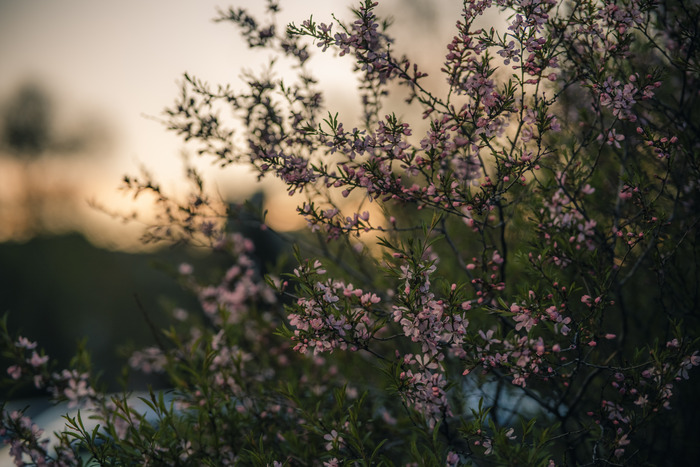 Sony A7m3 + Viltrox 85/1.8 II