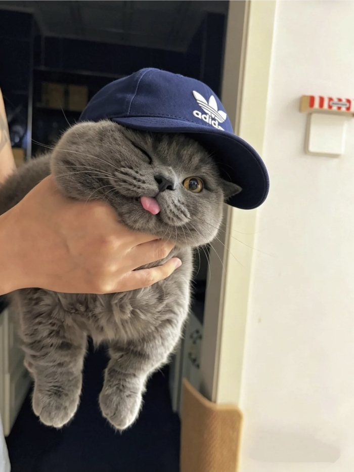 ��� ���