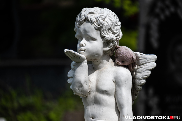����� ������ / <!--noindex--><a href="https://pikabu.ru/story/izyashchnaya_pechal_mramornyikh_lits_krasivyie_nadgrobiya_morskogo_kladbishcha_13990821?u=http%3A%2F%2FVLADIVOSTOK1.RU&t=VLADIVOSTOK1.RU&h=65ff03fe28c7228e4127e83457e6f4a14f0430f6" title="http://VLADIVOSTOK1.RU" target="_blank" rel="nofollow noopener">VLADIVOSTOK1.RU</a><!--/noindex-->