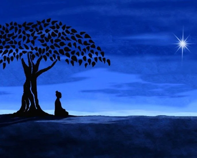 A little peace in your feed - Consciousness, Serenity
