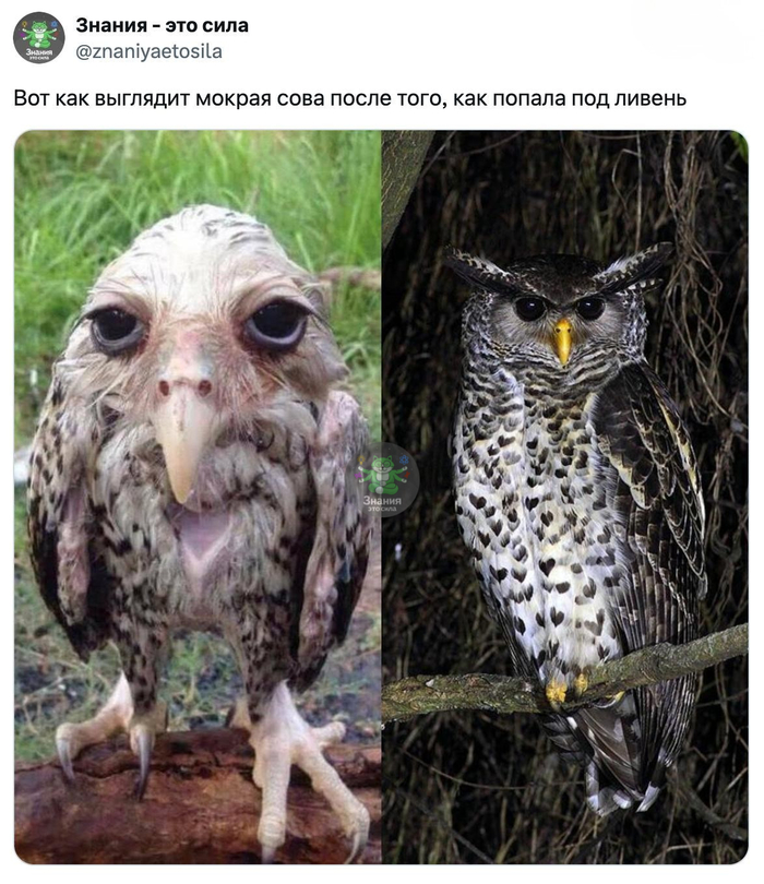 ����� ���� ���� ������ �� ��������� �����