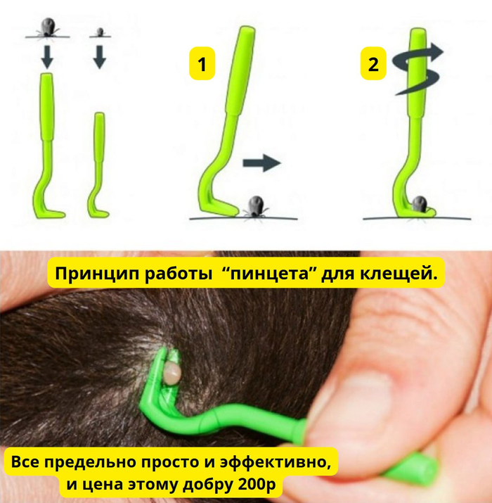 ��� ������, ����� ��� ����� "� �����"