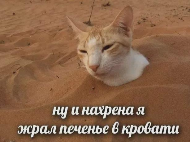 �� ��� � �������