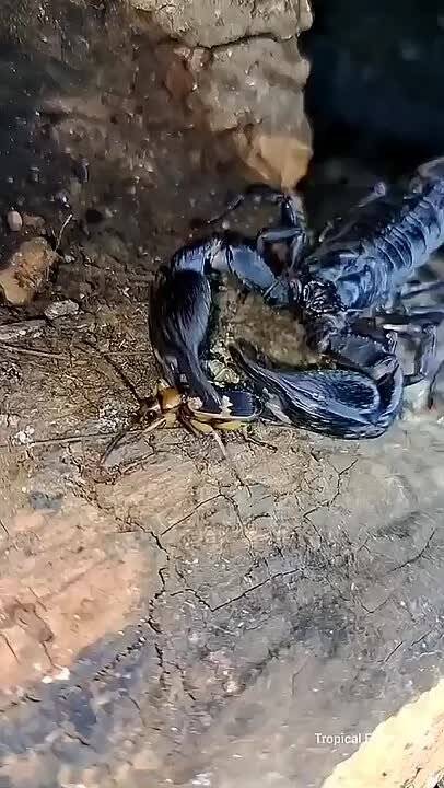������������